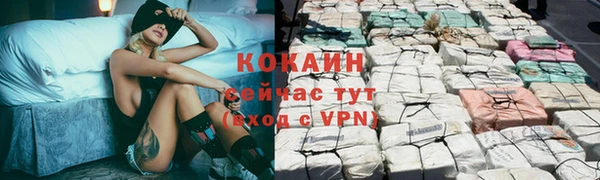 каннабис Белокуриха