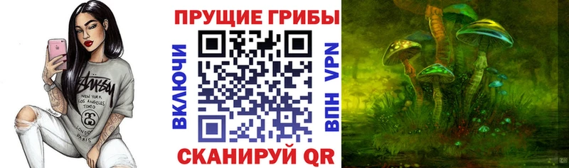 Псилоцибиновые грибы GOLDEN TEACHER Нарьян-Мар